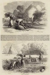 Agriculture en France